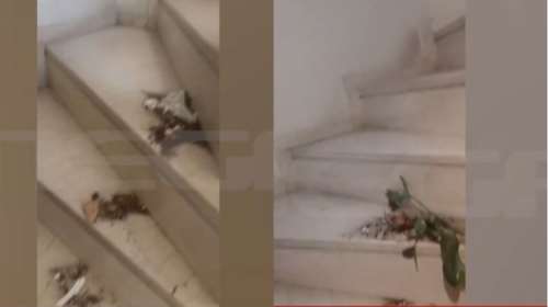 Βύρωνας: Το παρελθόν της ηθοποιού που τραυμάτισε με κατσαβίδι τον γείτονά της - &quot;Εχει δημιουργήσει ξανά προβλήματα&quot;