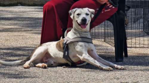 Οπως και να τον κοιτάξεις είναι σαν ζωγραφιστός, και ό,τι και να κάνει είναι ο καλύτερος, και είναι και πάντα χαμογελαστός -  Ο Γκάι