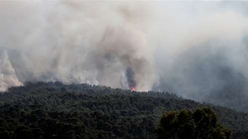 Εύβοια: Οριοθετήθηκε η φωτιά σε δάσος στην περιοχή Γούβες