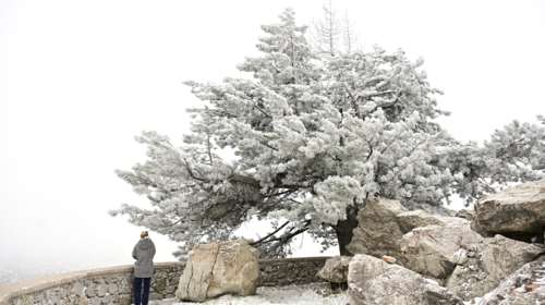 Καιρός: Πού αναμένεται να χιονίσει την Τρίτη -  Δεν αποκλείεται νέα ψυχρή εισβολή από την Κυριακή, λέει ο Τσατραφύλλιας