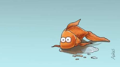 Νέο αιχμηρό σκίτσο του Αρκά: Το... χρυσόψαρο έξω από τη γυάλα του