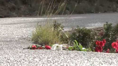 Εγκλημα Σπέτσες: &quot;Κάρφωσε τρεις μαχαιριές στο παιδί μου και το πέταξε&quot; - Συγκλονίζει η μάνα του 26χρονου [Βίντεο]