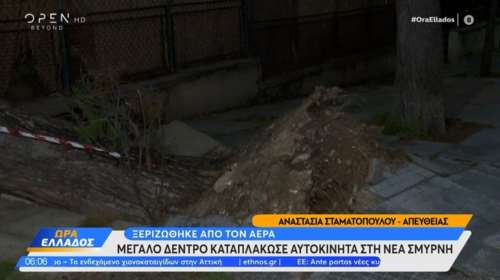 Κακοκαιρία Elena: Μεγάλο δέντρο καταπλάκωσε αυτοκίνητα στη Νέα Σμύρνη [βίντεο]