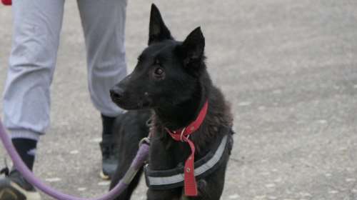 Μπέτυ: Την κοιτάς και αντιλαμβάνεσαι πως δεν είχε ποτέ στη ζωή  ούτε μισή ευκαιρία - Ποτέ και από κανέναν