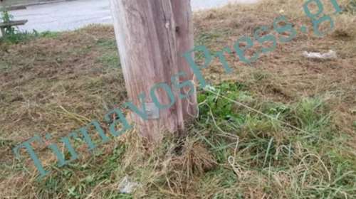 Φρίκη στον Τύρναβο - Άλογο βρέθηκε νεκρό δεμένο σε κολώνα: Την Τρίτη τα αποτελέσματα της νεκροψίας