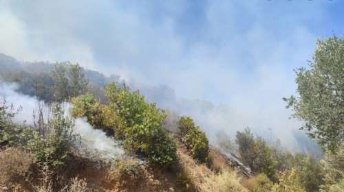 Μεσσηνία: Φωτιά στην Πολυθέα σε μικρή απόσταση από οικισμό -  Μήνυμα του 112 για εκκένωση του Κρυονερίου