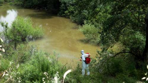 Ιός Δυτικού Νείλου: 22 οι θάνατοι - Έφτασαν τα 254 τα κρούσματα, πού εντοπίζονται