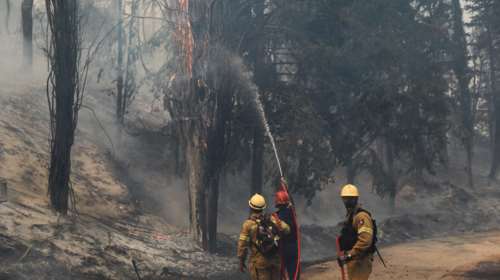 Φωτιά στο Τατόι: Οι φλόγες στους βασιλικούς τάφους-  Μάχη για τα κοντέινερς με τα 100.000 πολύτιμα αντικείμενα [Βίντεο]