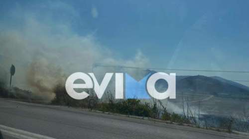 Ξέσπασε φωτιά στη Νότια Εύβοια - Στον κάμπο του Δύστου