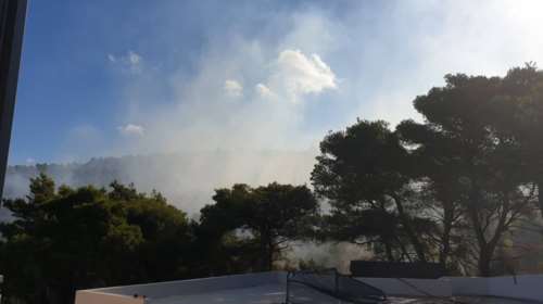 Μεγάλη κινητοποίηση στη Λευκάδα: Σε εξέλιξη η φωτιά στο Πόρτο Κατσίκι - Καίει κοντά σε σπίτια  [Εικόνες-βίντεο]