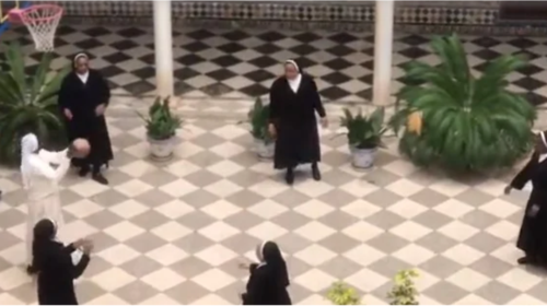 Kαλόγριες παίζουν μπάσκετ για να χαλαρώσουν από  τον... κορονοϊό και γίνονται viral [βίντεο]