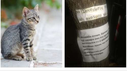 Ασύλληπτη βαρβαρότητα στην Κυψέλη: Γατάκι νεκρό με βάναυσο και βασανιστικό τρόπο - Αφησαν σημείωμα ότι θα το ξανακάνουν