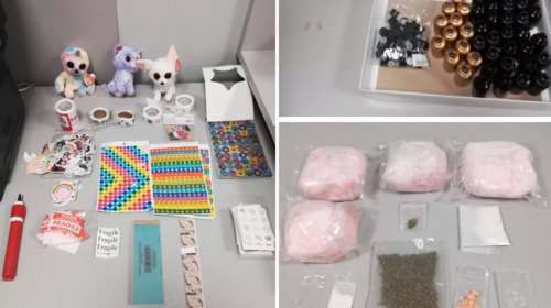 Ναρκέμποροι έκρυβαν κοκαΐνη, χάπια και χασίς σε λούτρινα κουκλάκια και τα ταχυδρομούσαν [εικόνες]