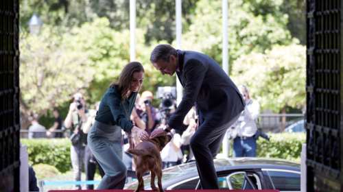 Πίνατ: Ξετρελάθηκε με τη Φινλανδή πρωθυπουργό στο Μεγάρο Μαξίμου - Πώς αντέδρασε η Σάνα Μάριν [Εικόνες]