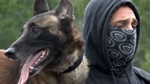 Σκύλοι έρευνας και διάσωσης: Η ομάδα Anubis βρέθηκε και στο σημείο της τραγωδίας των Τεμπών