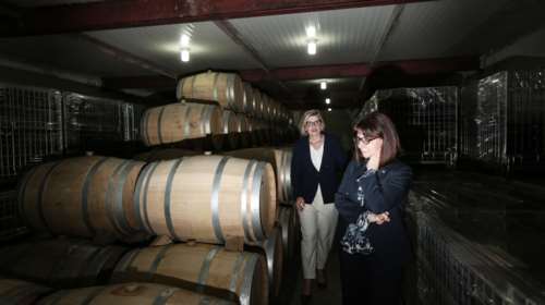 Το οινοποιείο "Κίκονες" που επισκέφθηκε η Κατερίνα Σακελλαροπούλου στη Θράκη- Γυναίκα οινοποιός και σπουδαία κρασιά