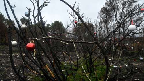 Βαρυμπόμπη: Στόλισαν τα καμένα δέντρα οι κάτοικοι της περιοχής [Εικόνες]