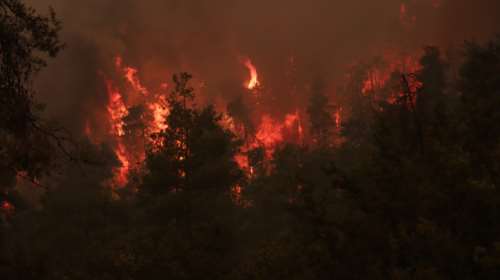 Οι τελευταίες εξελίξεις από τα πύρινα μέτωπα: Δύσκολη νύχτα για την Εύβοια - Παρατείνεται η ΠΝΠ