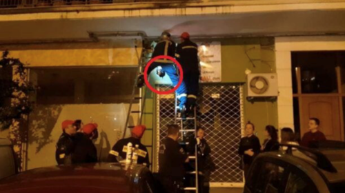 Αδιανόητο: &quot;Εχτισε&quot; ένα γατάκι μέσα στη γυψοσανίδα του μαγαζιού του στη Θεσσαλονίκη [βίντεο]