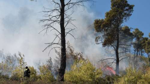 Ξέσπασε φωτιά στον Νέο Βουτζά - Κοντά στο Λύρειο Ίδρυμα