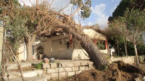 Ξαφνικός ανεμοστρόβιλος στο Γιαννιτσοχώρι Ηλείας - Τραυματίστηκε μία γυναίκα