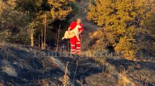 Μετράνε τις πληγές τους στη δυτική Φθιώτιδα - Πως ξέσπασε η μεγάλη φωτιά [εικόνες]