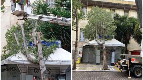 Ηράκλειο: Ξεριζώθηκε δέντρο και έπεσε σε περίπτερο [εικόνες - βίντεο]