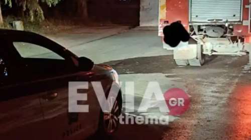 Κτηνωδία στην Εύβοια: Πέταξαν σκύλο σε κάδο σκουπιδιών και του έβαλαν φωτιά