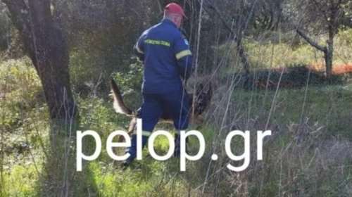 Αχαΐα: Χωρίς τις αισθήσεις του εντοπίστηκε ο 59χρονος αγνοούμενος στις Βελιτσές