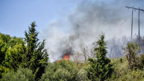 Πυρκαγιά στην Πρέβεζα: Κάηκαν σπίτια στην Βρυσούλα - Μεγαλώνει το μέτωπο λόγω των ανέμων
