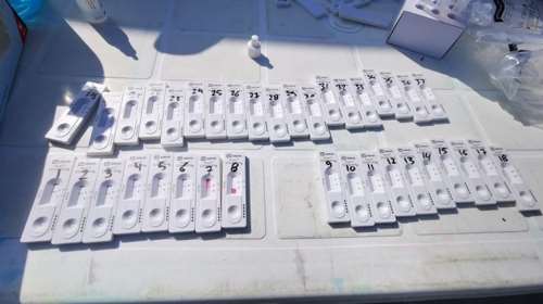 Κορονοϊός: Σε επιφυλακή η Εύβοια μετά το πρώτο κρούσμα της μετάλλαξης "Δέλτα"