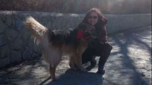 &quot;Πρέπει να σας ενημερώσω…&quot;: Συγκλονίζει εντατικολόγος για το πώς ανακοινώνει τους νεκρούς από κορονοϊό στις οικογένειές τους