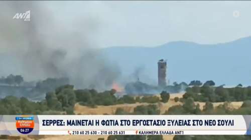 Φωτιά στις Σέρρες: Ολονύχτια μάχη των πυροσβεστών με τις φλόγες στο εργοστάσιο ξυλείας – Κάηκαν 600 στρέμματα [βίντεο]