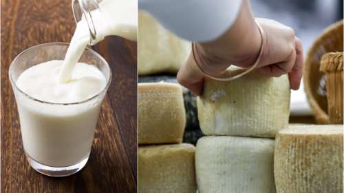 Γάλα: Φόβοι για ελλείψεις σε τυριά και γιαούρτια λόγω μειωμένης παραγωγής [Βίντεο]