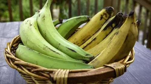 Κι όμως, δεν είναι μπανάνες, είναι πλατέινς: Το φρούτο που γνωρίζουν ελάχιστοι είναι εξαιρετικά θρεπτικό