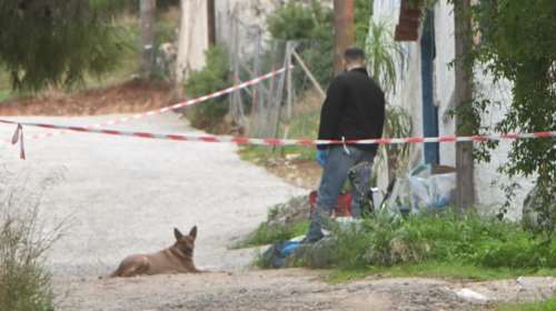 Σαλαμίνα: Μαρτυρικός ο θάνατος της 75χρονης - Ανοιχτό το ενδεχόμενο οι δράστες να είναι κοντά στο περιβάλλον της