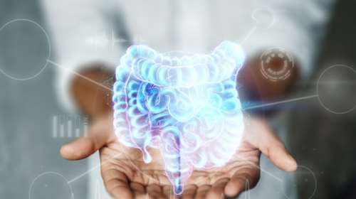 Το μικροβίωμα ως &quot;ξεχωριστό&quot; όργανο: Πώς θα το διατηρούμε υγιές;