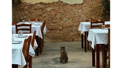 Λένε πως αυτές είναι οι καλύτερες ταβέρνες με αυλή στην Αθήνα