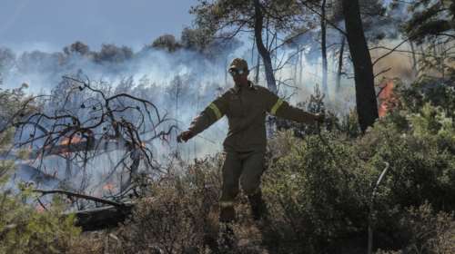 Φωτιά στην Παλλήνη: Στο σημείο 16 πυροσβέστες με 8 οχήματα