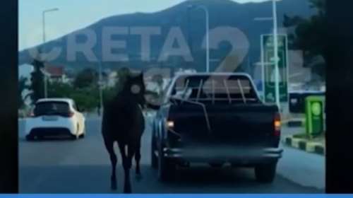 Εξοργιστικό: Ασυνείδητος έδεσε άλογο με σκοινί στο αγροτικό και οδηγούσε σε κεντρικό δρόμο - Τρομαγμένο έχανε τον βηματισμό του