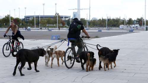 Πώς δεν θα προκύψουν επιπλέον έξοδα για τα κατοικίδια σας - Πώς μπορούμε να εξοικονομούμε χρήματα