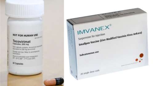 Ευλογιά των πιθήκων: Ο ΕΜΑ συζητά για εμβόλια και θεραπείες - Ποια είναι τα φαρμακευτικά προϊόντα που έχουν αξιολογηθεί