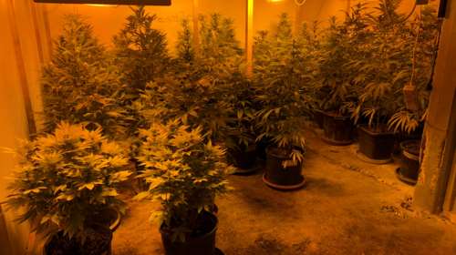 Κυκλώματα ναρκωτικών "διαφήμιζαν" την άμεση εξυπηρέτηση και παράδοση όλο το 24ωρο