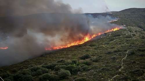 Φωτιά στην Άνδρο: Στην περιοχή του Αγίου Πέτρου – Επιχειρούν και εναέρια μέσα