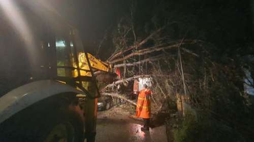 Σφοδρή κακοκαιρία στην Κέρκυρα:  Έπεσε δέντρο σε ακατοίκητο σπίτι - Φωτιά σε κολώνες της ΔΕΗ και διακοπές ρεύματος