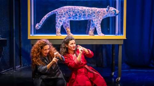 &quot;Το Καπλάνι της Βιτρίνας&quot;: Η αγαπημένη ιστορία των παιδικών μας χρόνων ζωντανεύει στο Ιδρυμα Μιχάλης Κακογιάννης