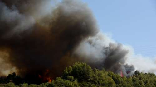 Φωτιά στη Ζήρια Αχαϊας - Πρόεδρος Δημοτικού Συμβουλίου Αιγιαλείας: "Έχουν καεί πάνω από 20 σπίτια"