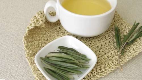 Βελτιώνουν την αρτηριακή πίεση και την υγεία της καρδιάς: Όλα τα οφέλη που έχουν τα φύλλα ελιάς