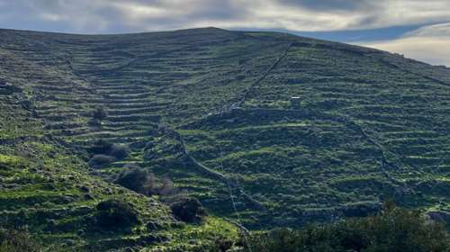 Θρίλερ με την εξαφάνιση πατέρα και γιου από το νοσοκομείο Λαμίας: Πού στρέφονται οι έρευνες μετά από μαρτυρία βοσκού
