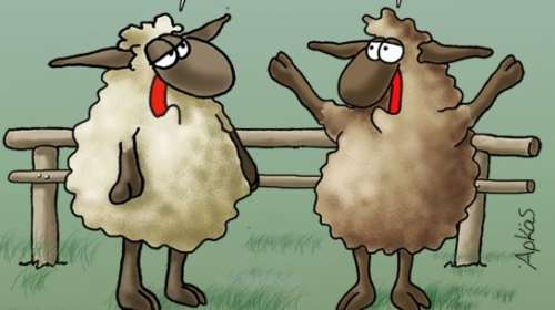 Αρκάς: Η... ωμότητα του αρνιού ενόψει Πάσχα και ο επικός διάλογος [εικόνα]